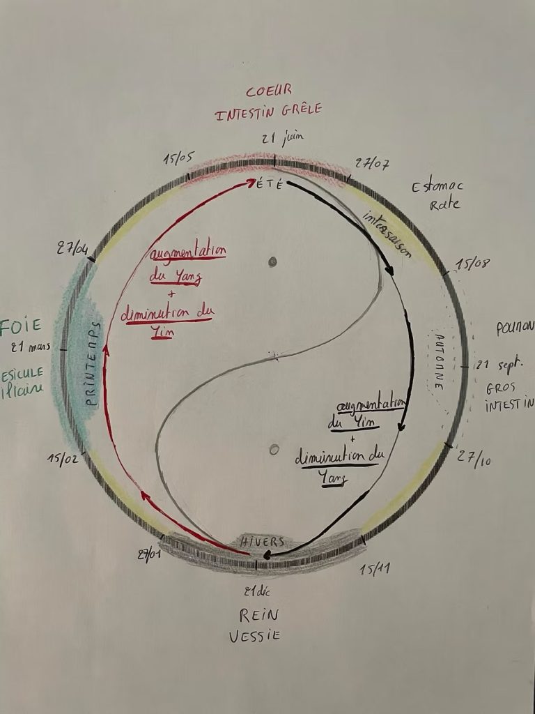Les mouvements du Yin et du Yang selon les saisons.
