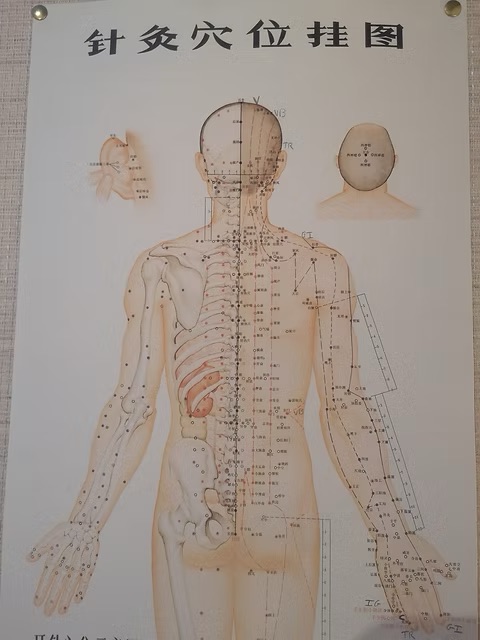 méridiens de vessie et vésicule biliaire